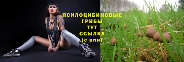 PSILOCYBIN Куйбышев