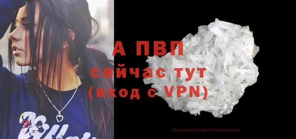 гидра Лагань