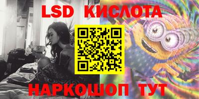 сатива Камышлов