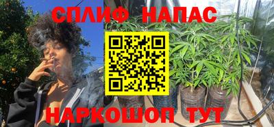 мдпв Кандалакша