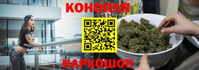 сатива Камышлов