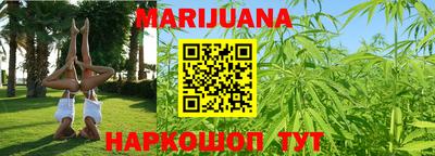 сатива Камышлов