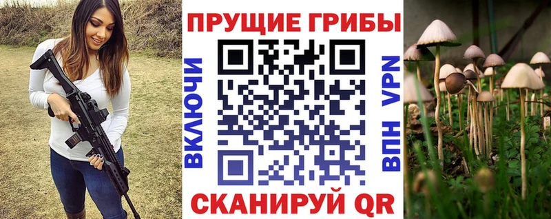 OMG как войти  Шебекино  Галлюциногенные грибы GOLDEN TEACHER  как найти  