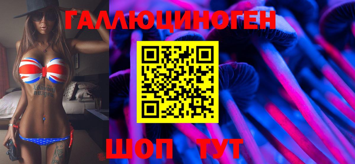 Галлюциногенные грибы Psilocybe Шебекино