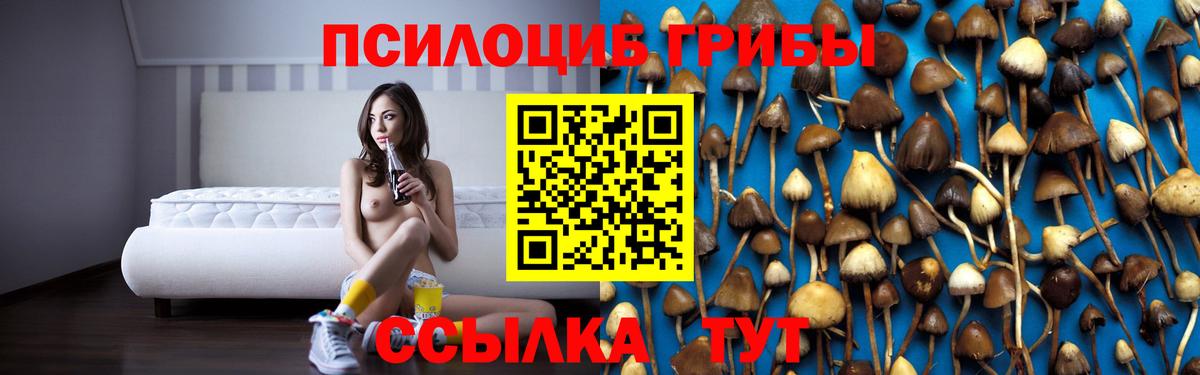 Галлюциногенные грибы GOLDEN TEACHER Шебекино