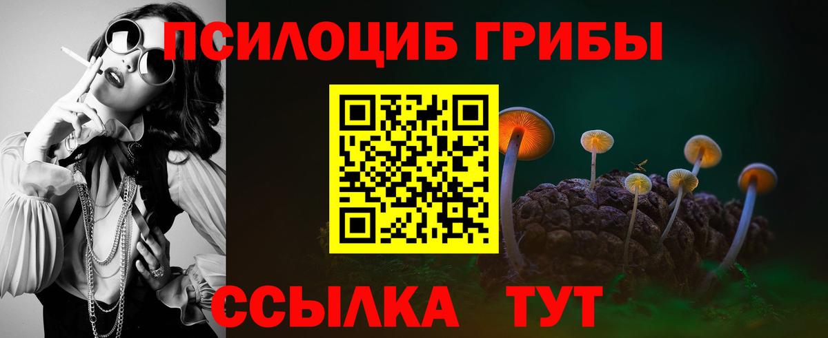 Галлюциногенные грибы мицелий  Вход с VPN  Шебекино 